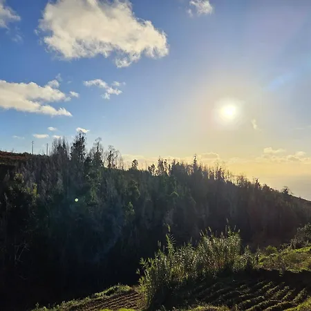 Casa Alice By Escape To Madeira * 蓬塔杜帕戈